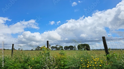 Scenic Rural Landscape with Blue Sky, Wildflowers, and Barbed Wire Fence