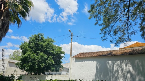 Urban light pole and lush trees under a vibrant blue sky with white clouds — suburban environment scene