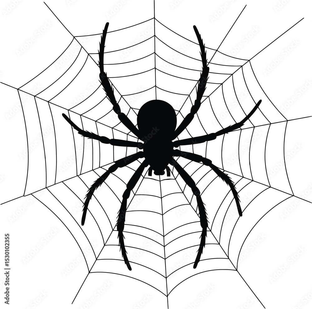 Obraz premium Spider Web Silhouette