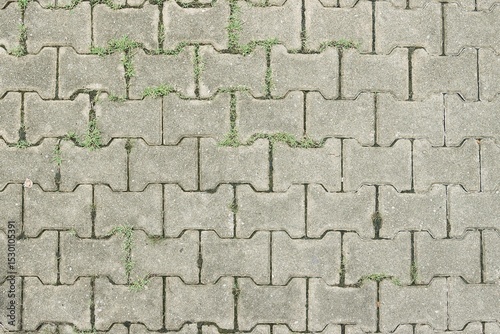 Dumbbell shape paver block floor pattern background, top view