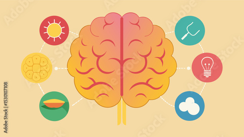 An illustration of the brain highlighting the different areas responsible for memory and how they can be affected by diseases.. Vector illustration