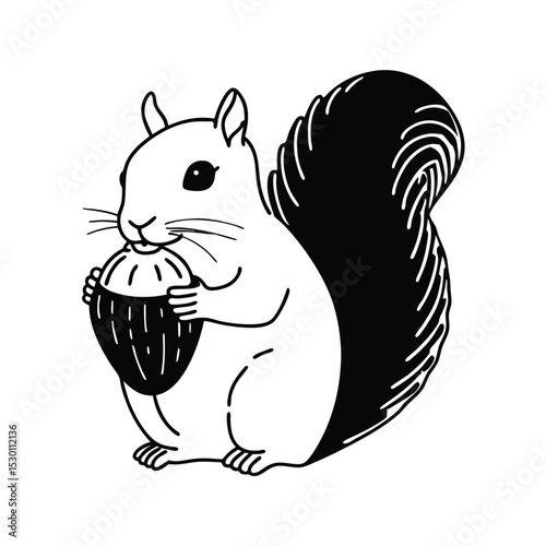Cute squirrel design holding a nut vector illustration