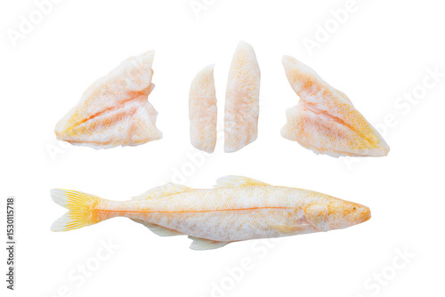 Flat-lay photo of scattered Atlantic cod fillets and whole fish, bright studio lighting, top-down view, isolated on black background displaying texture and fresh seafood quality