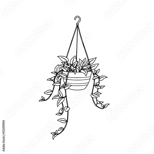 Hanging planter with trailing houseplants in a contemporary style  