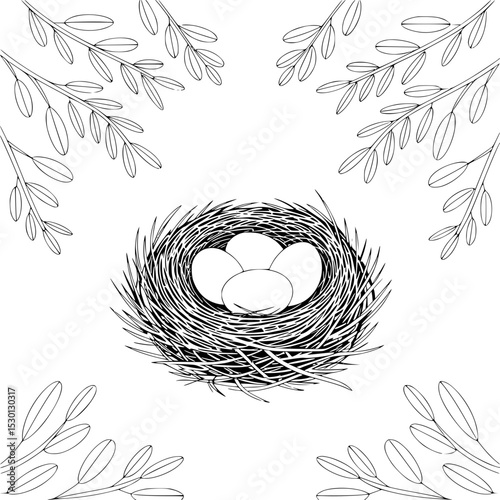 Bird Nest with Eggs Line Art | Nature Nest Drawing with Leaves