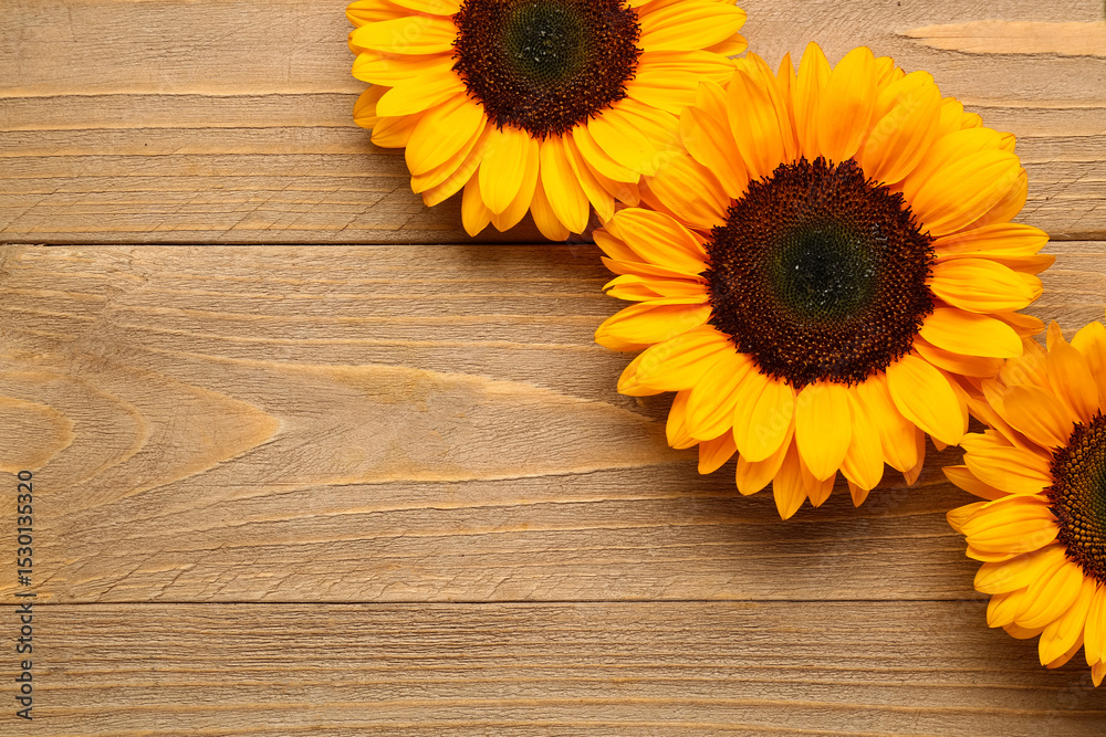 Obraz premium Beautiful sunflowers on wooden background