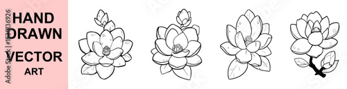 Magnolia flower black and white hand drawn line vector sketch floral illustration botanical drawing for nature art, tattoo design, print, wedding, elegant decor

