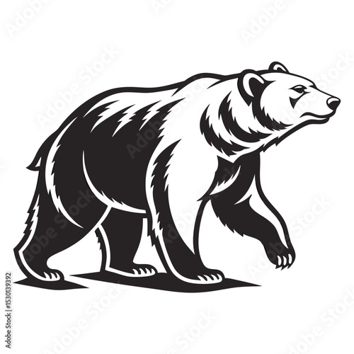 polar bear vector