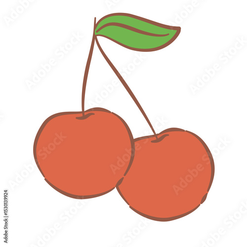 vector illustration of cherries