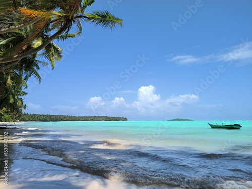 Fototapeta Naklejka Na Ścianę i Meble -  tropical beach with palm trees