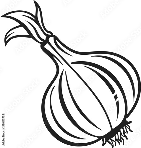 onion vector illustration