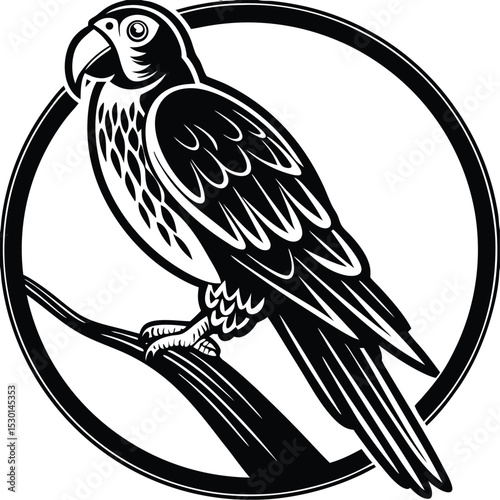 bird on a branch