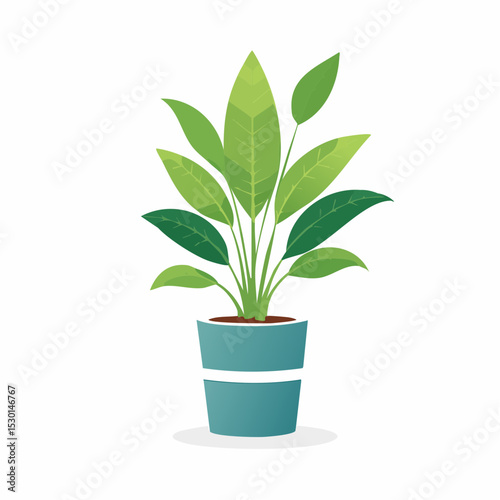 Vector of an indoor plant in a ceramic pot, cleanly styled with space for branding.