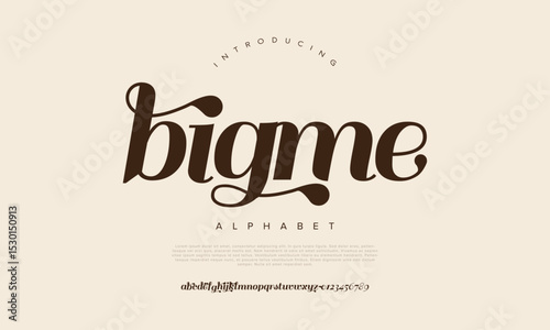 Bold script font with sweeping swashes and expressive strokes for branding and logos