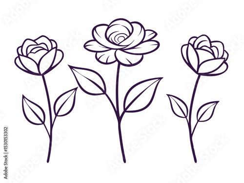 Delicate vector illustration featuring three elegant rose flower outlines on a clean white background.