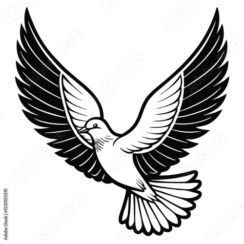 A beautifully illustrated black and white dove with outstretched wings in full flight on a white background. dove, bird, flying, peace, freedom, love, hope, spirit, grace.