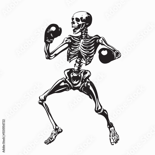 Skeleton boxer with boxing gloves image Vector on white background.