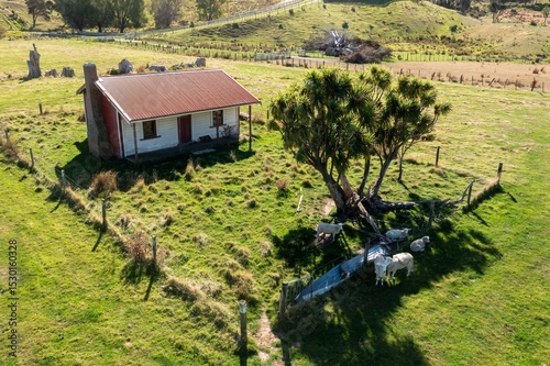 A red farm building with sheep grazing in a field in Castlepoint, Wellington, New Zealand. The sheep are eating grass near the building, which has a water tank. The scene is rural