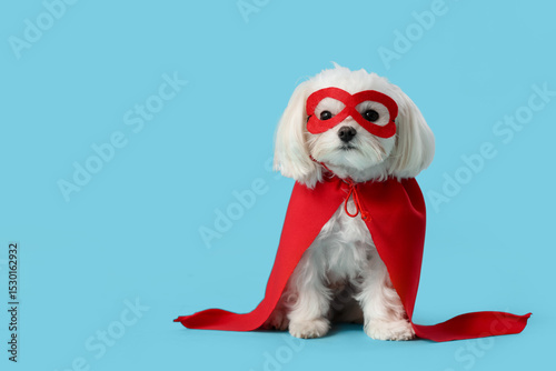 Cute little dog in superhero costume on blue background