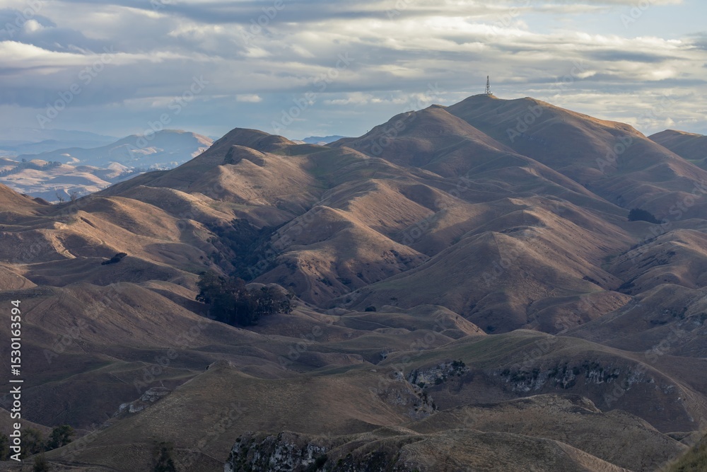 Fototapeta premium Rolling hills and farmland meet the ocean in this scenic landscape of Havelock North, Hawke's Bay, New Zealand. The image captures the natural beauty and rural charm of the country.