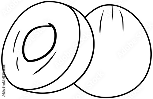 Chikoo Fruit Vector Outline Line Art Drawing