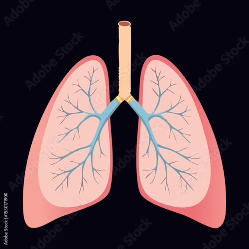 Human Lungs Anatomy Dark Background
