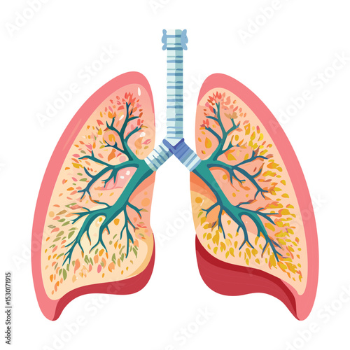 Lung Alveoli and Bronchioles Illustration
