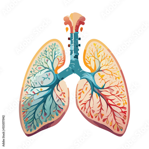 Human Lungs and Pulmonary System