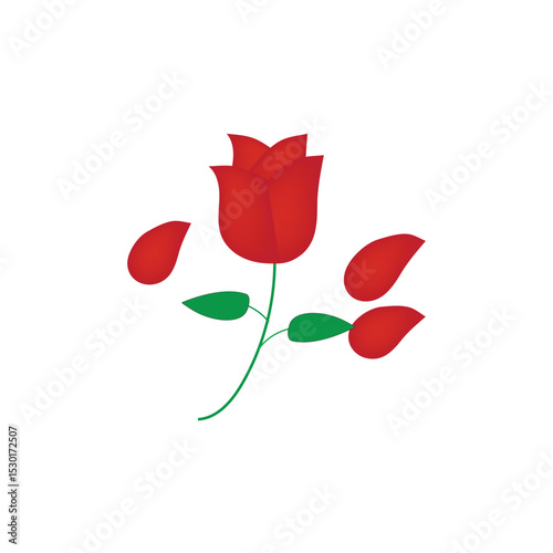 Red rose flower vector illustration of a flower that symbolizes love, romance and its smell is very fragrant