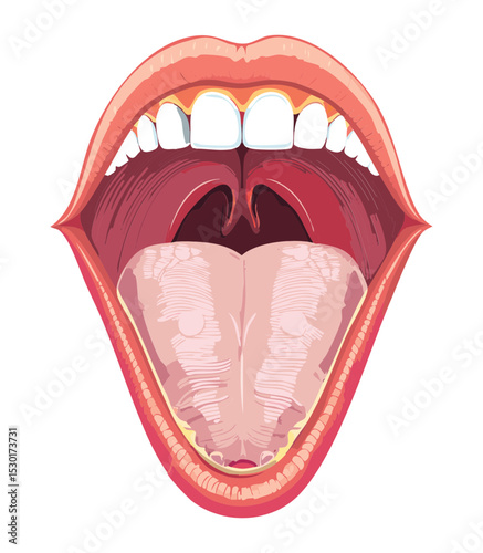 Human Oral Cavity Deep Throat