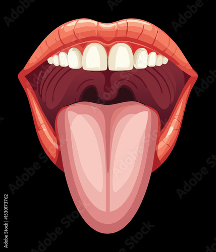 Healthy Human Tongue Front View