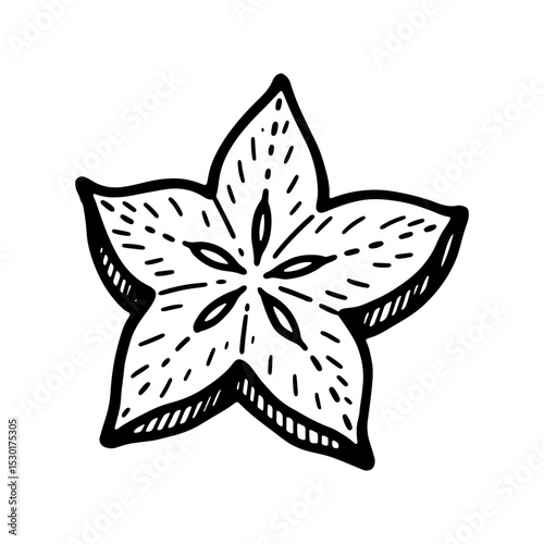 Hand-drawn Star Fruit Illustration