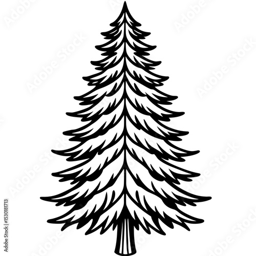 Minimal Pine Tree Vector on White
