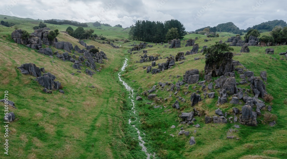 Fototapeta premium Rolling green hills with limestone rock formations dotting the landscape in Waitomo, Waitanguru, Te Kuiti, Waikato, New Zealand. The unique landscape is a popular tourist destination.