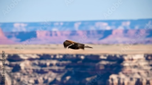 Wallpaper Mural Bird in Flight Over a Blurred Canyon Landscape Torontodigital.ca