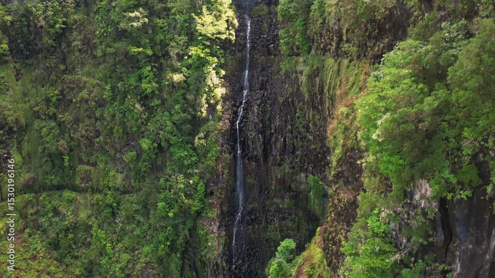 Scenic aerial of hikers on waterfall trail, surrounded by lush cliffs and forest in Madeira, Portugal Scenic aerial of hikers on waterfall trail, surrounded by lush cliffs and forest in Madeira, Portugal