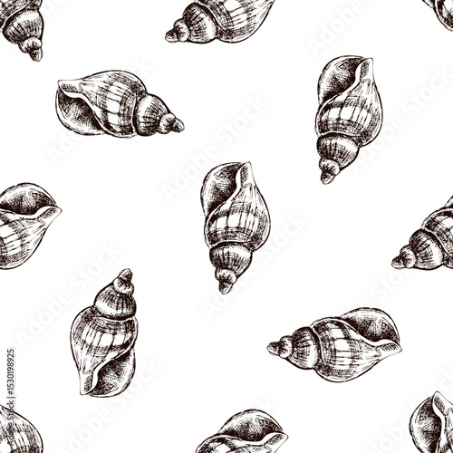 Hand drawn vintage seamless pattern of thick spiral seashell in brown ink engraving style, beach sketch illustration