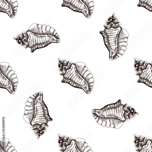 Hand drawn vintage seamless pattern of wavy conch seashell in brown ink engraving style, ocean sketch illustration
