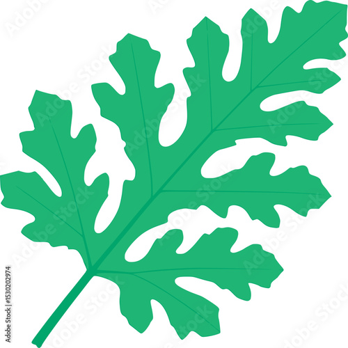 Summer watermelon leaf