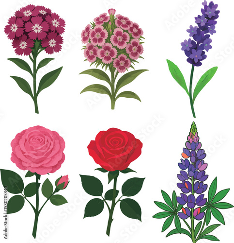 Colorful Vector Illustrations of Various Flowers