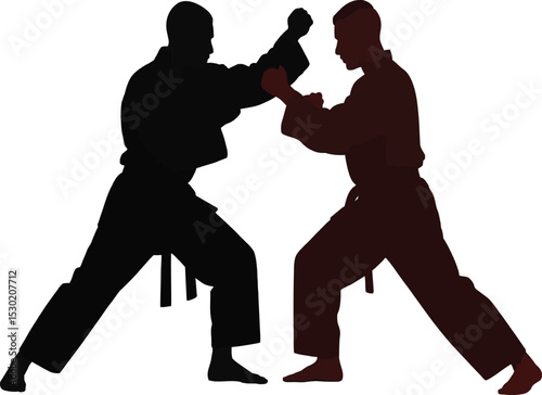 Two martial artists in silhouette sparring in a dojo with white backdrop in a fighting stance pose