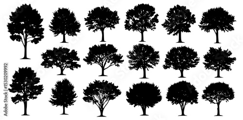 Forest trees. Tree, forests composition and isolated trees vector silhouettes set. Forest trees. Foresting botanical woodland or park tree trunk signs. JPEG version.