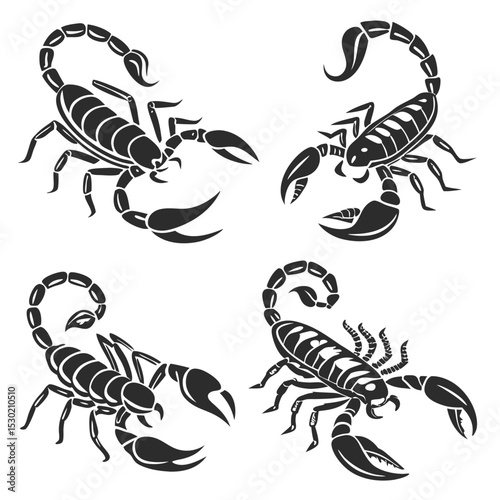 Black and white scorpion illustrations collection perfect for tattoo design and decorative purposes