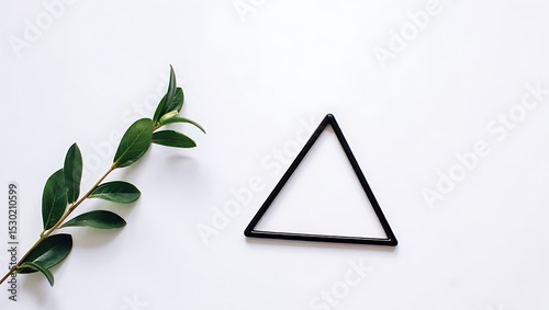 Minimalist Green Leaf and Geometric Triangle, Simple Nature Design, Modern Art Aesthetic, Clean White Background, Abstract Composition