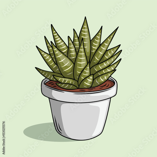 Hand Drawn of a Potted Haworthia Succulent Plant