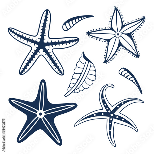 Hand drawn marine themed starfish and stylized oceanic elements for a design concept
