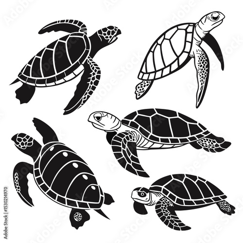 Vector illustration of five black and white sea turtles swimming against a white background