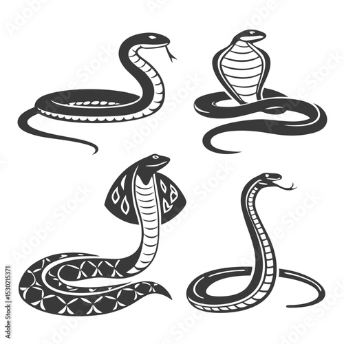 Vector illustrations of four stylized cobra snakes in various poses with black and white graphics
