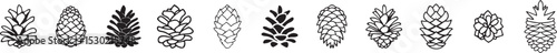 Pinecone Illustrations: Perfect for Winter, Christmas, and Woodland Themed Graphics.