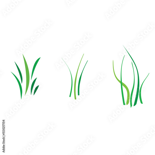Grass Border Brush

